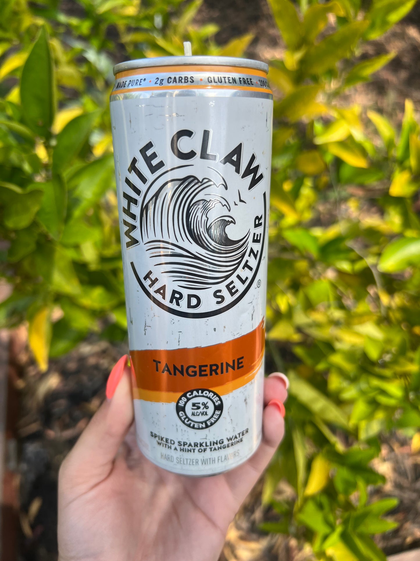 Hard Seltzer Citrus Agave