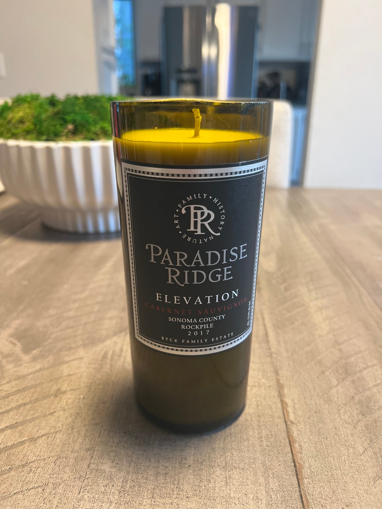 Paradise Ridge Cucumber Melon