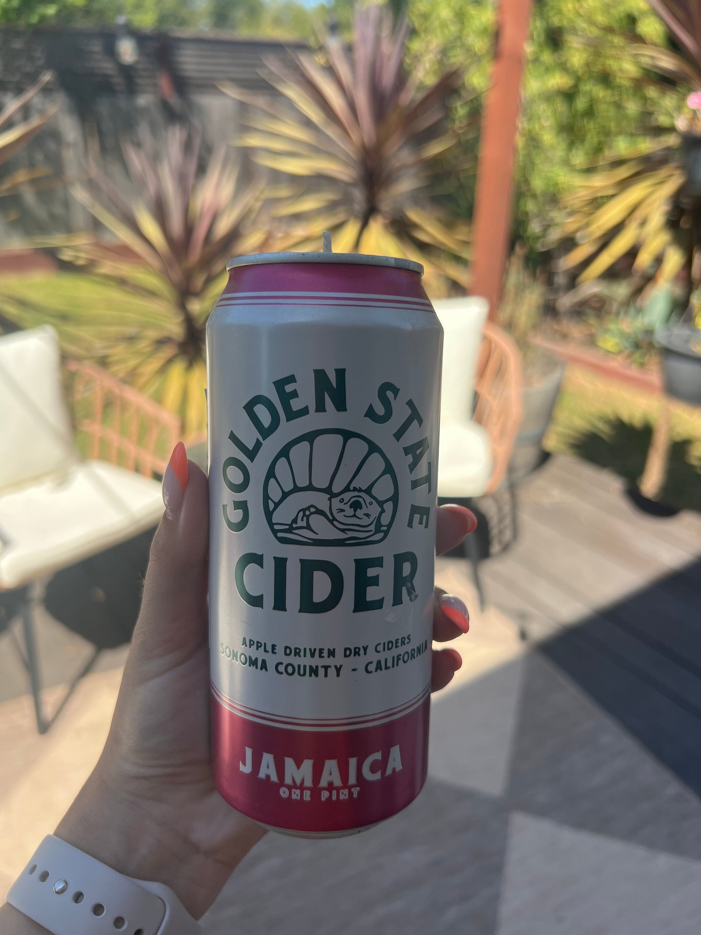 Golden State Cider Grapefruit & Mint
